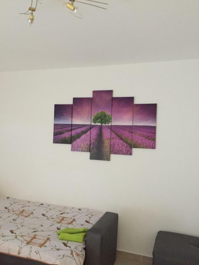 Apartment Brno Pula Bagian luar foto